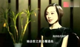 宋智敏爆料梅艳芳视频播放,真相背后引人深思
